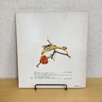 月刊かがくのとも156号「ぞうきばやし」