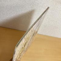 月刊かがくのとも156号「ぞうきばやし」