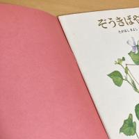 月刊かがくのとも156号「ぞうきばやし」