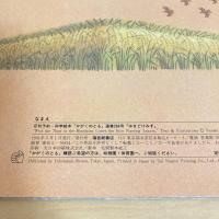 月刊かがくのとも264号「ゆきどけみず」