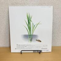 月刊かがくのとも62号「たんぼにできた わらのいえ」
