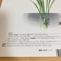 月刊かがくのとも62号「たんぼにできた わらのいえ」