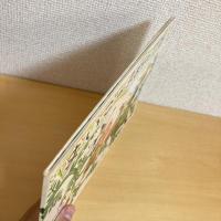 こどものとも通巻318号 「まいごのまめのつる」　