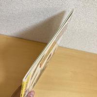 こどものとも通巻414号 「ちょろりんととっけー」　