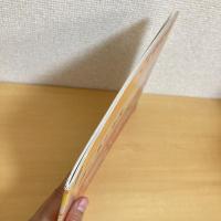 こどものとも年中向き通巻329号 「るーきったん」　