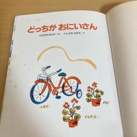 どっちがおにいさん テモちゃんのえほん・１