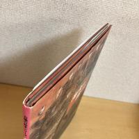 海女の珠とり お能の絵本シリーズ 第1巻 海士