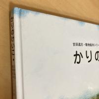 かりのけいこ 吉田遠志・動物絵本シリーズ〈3〉アフリカ