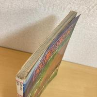 別冊 山と渓谷 京都の絵本