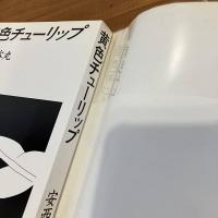 黄色チューリップ