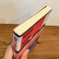 夜の姉妹団　とびきりの現代英米小説14篇