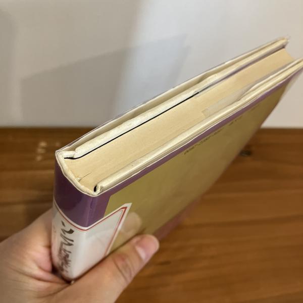 ソンブレロ落下す: ある日本小説 | リチャード ブローティガン