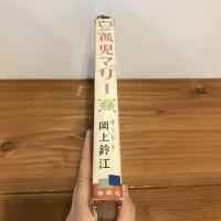 世界少女名作全集「孤児マリー」