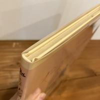 ほるぷクラシック絵本「リアのナンセンスの絵本」