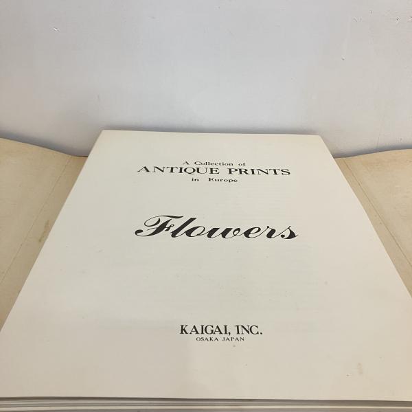 A Collection of ANTIQUE PRINTS in Europe Flowers / 古本 A Collection of ANTIQUE PRINTS in Europe Flowers / 古本