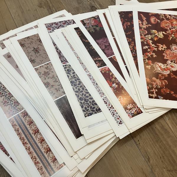 A Collection of ANTIQUE PRINTS in Europe Flowers / 古本 A Collection of ANTIQUE PRINTS in Europe Flowers / 古本