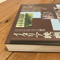 イタリア映画を読む リアリズムとロマネスクの饗宴