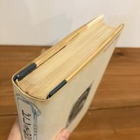 古典文庫48 ピレネ紀行