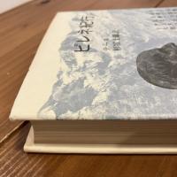 古典文庫48 ピレネ紀行