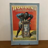 100 YEARS OF MAGIC POSTERS