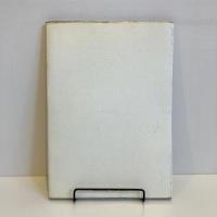 デザイナー・河鍋暁斎 双書 美術の泉64