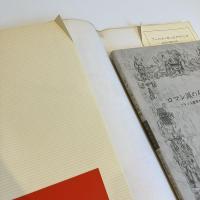 ロマン派の石版画 フランス豪華本の装飾 双書 美術の泉50