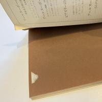 ロマン派の石版画 フランス豪華本の装飾 双書 美術の泉50