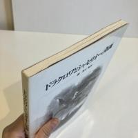 ドラクロワとシャセリオーの版画 双書 美術の泉84