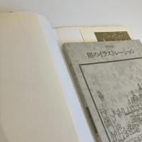 安野光雅 旅のイラストレーション 双書 美術の泉40