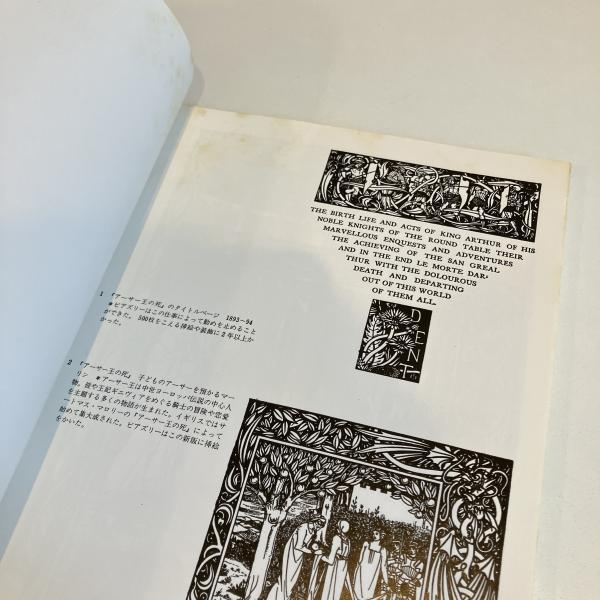 ビアズリーのイラストレーション 双書 美術の泉1410刷(大森忠行
