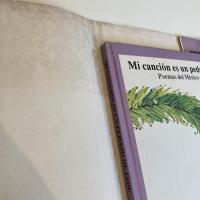 Mi cancion es un pedazo de jade Poemas del Mexico antiguo