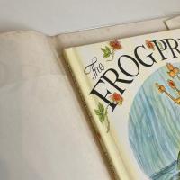 The FROG PRINCE
