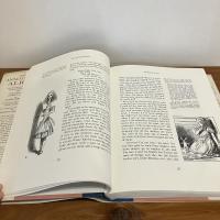 THE ANNOTATED ALICE