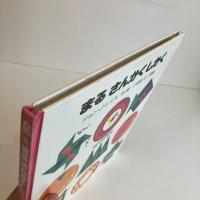 PICTURE LAND 6「まる さんかく しかく」