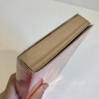 小説 フォルクスワーゲン