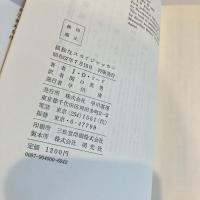 孤独なスカイジャッカー