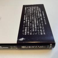 孤独なスカイジャッカー