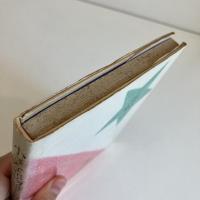 小さな恋物語
