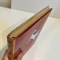 バルビンカのぼうけん 新日本こどもの文学2