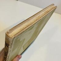 清水昶詩集 新しい記憶の果実