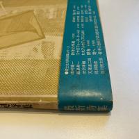清水昶詩集 新しい記憶の果実