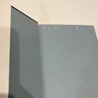 ヴィティコー 薔薇と剣の物語 第1巻