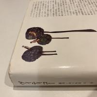 ヴィティコー 薔薇と剣の物語 第1巻
