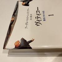 ヴィティコー 薔薇と剣の物語 第1巻