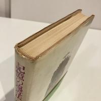 記憶の遠近法