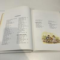 A Child's Garden of Verses 洋書絵本