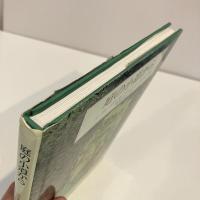 庭の小道から