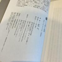 パリが愛した娼婦