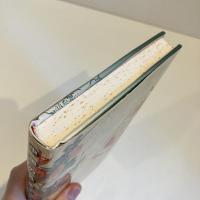 中国の性愛テクノロジー
