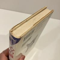 心の鏡 ダニエル・キイス傑作集